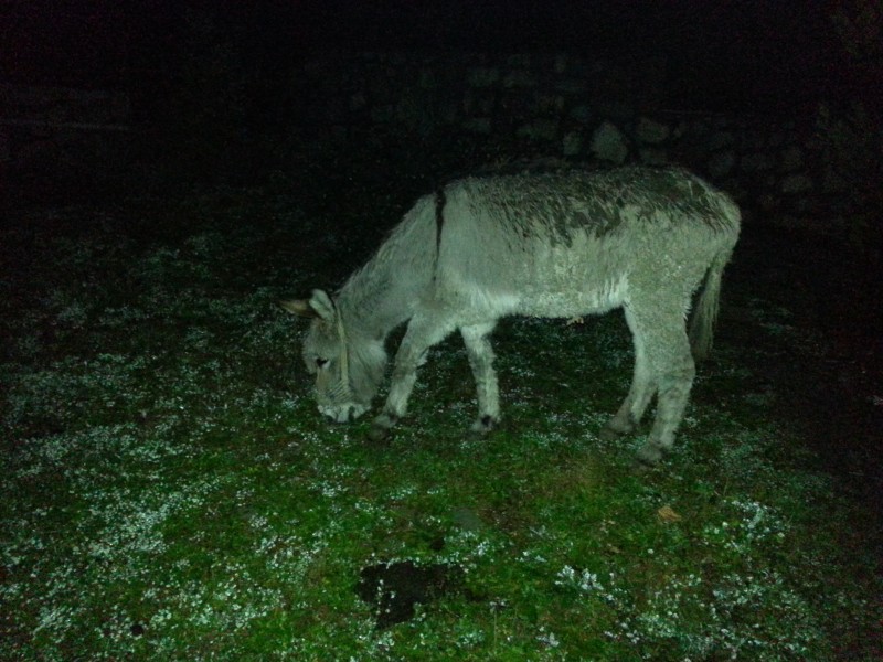 Αντίγραφο από 20130215_220221.jpg