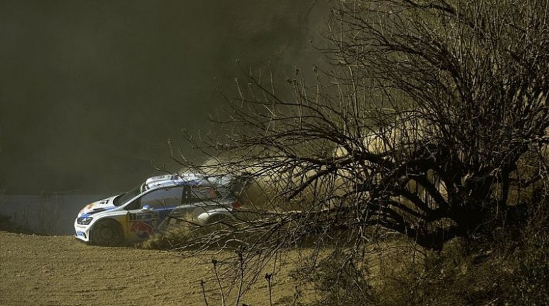 WRC.jpg