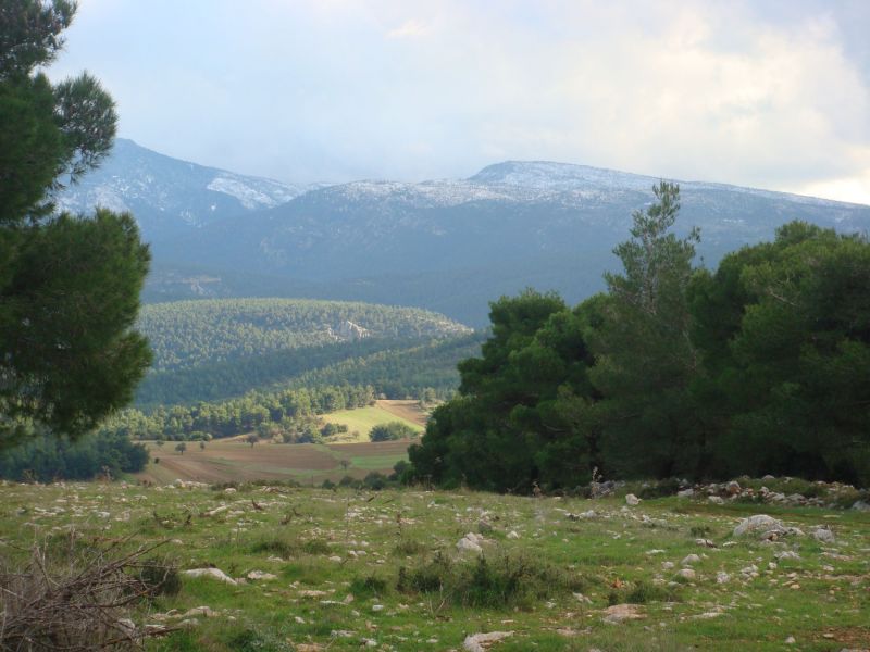 Εικόνα