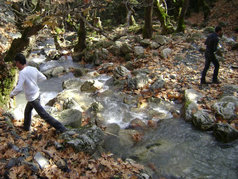 Εικόνα