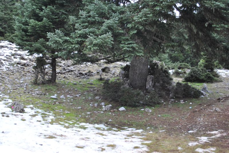 Εικόνα