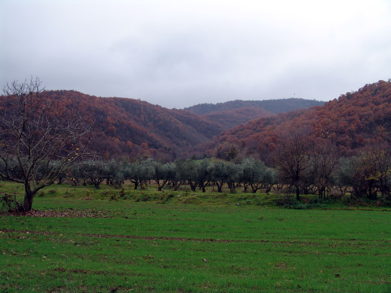 Εικόνα