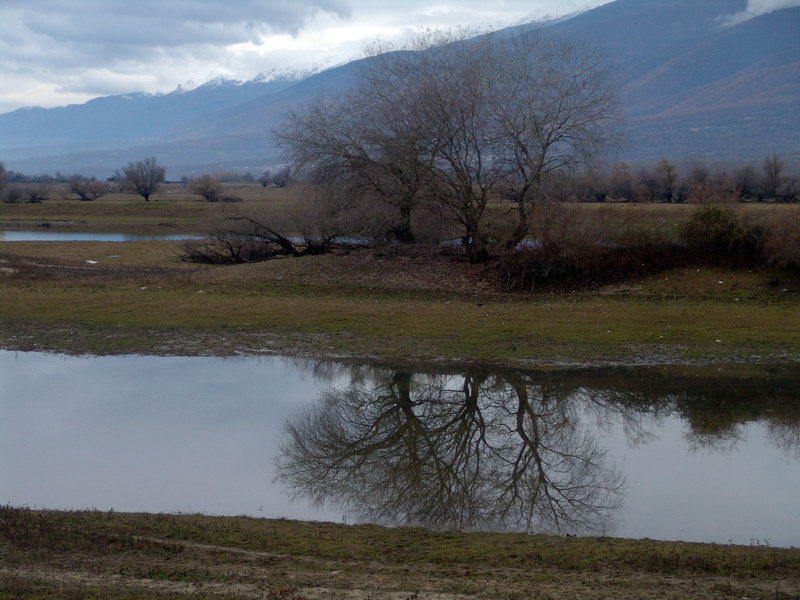 Εικόνα