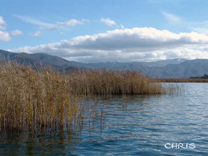 Εικόνα