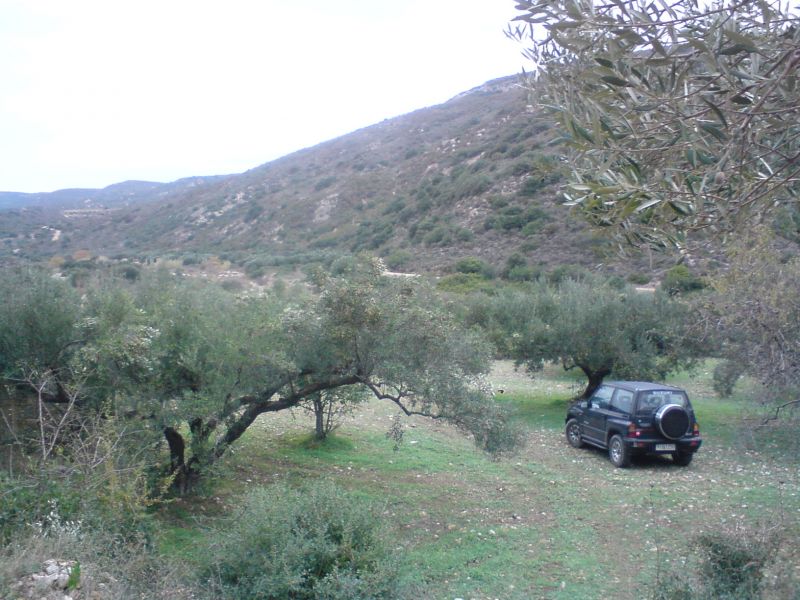 Εικόνα
