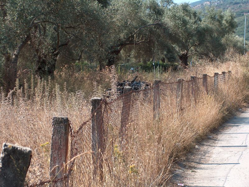Εικόνα