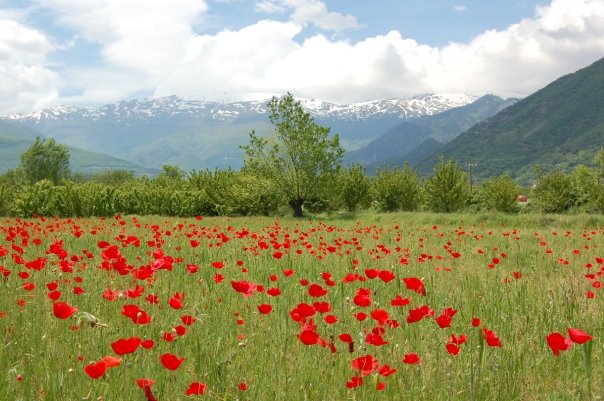 Εικόνα