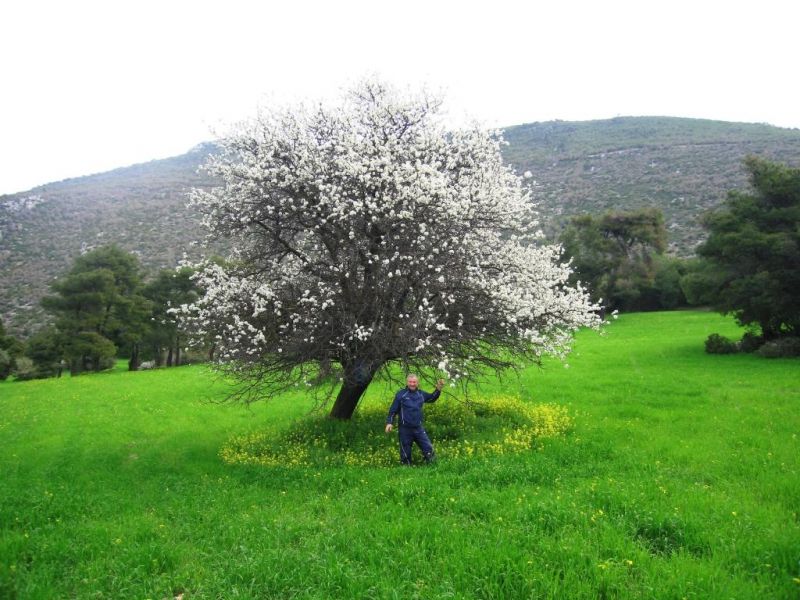 Εικόνα