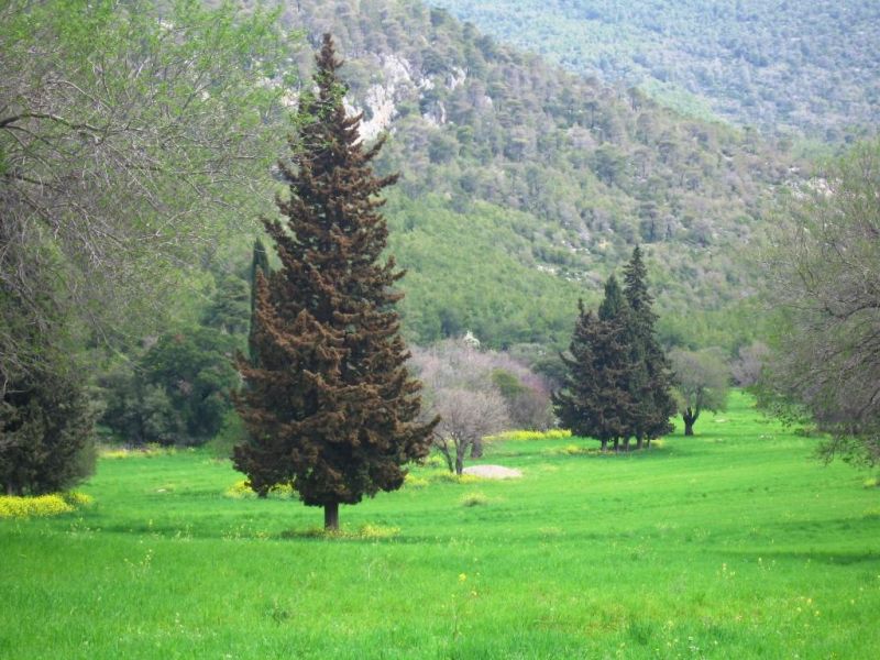 Εικόνα