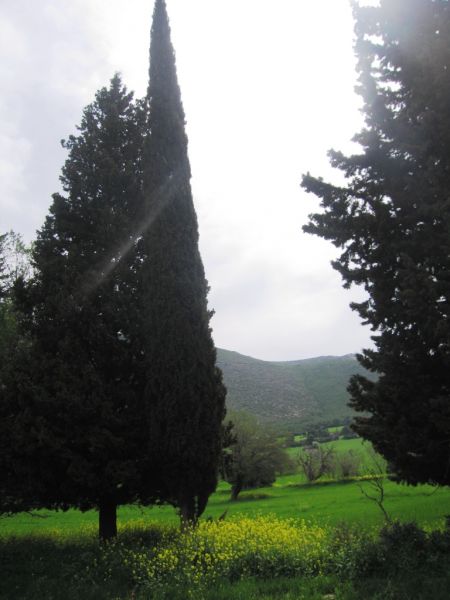 Εικόνα
