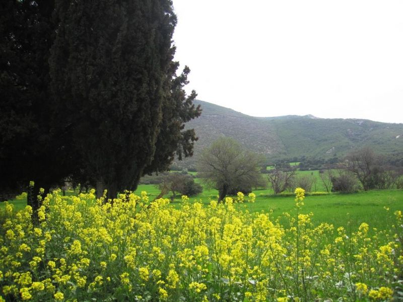 Εικόνα