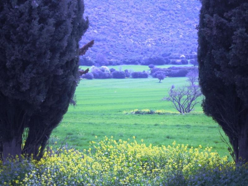 Εικόνα