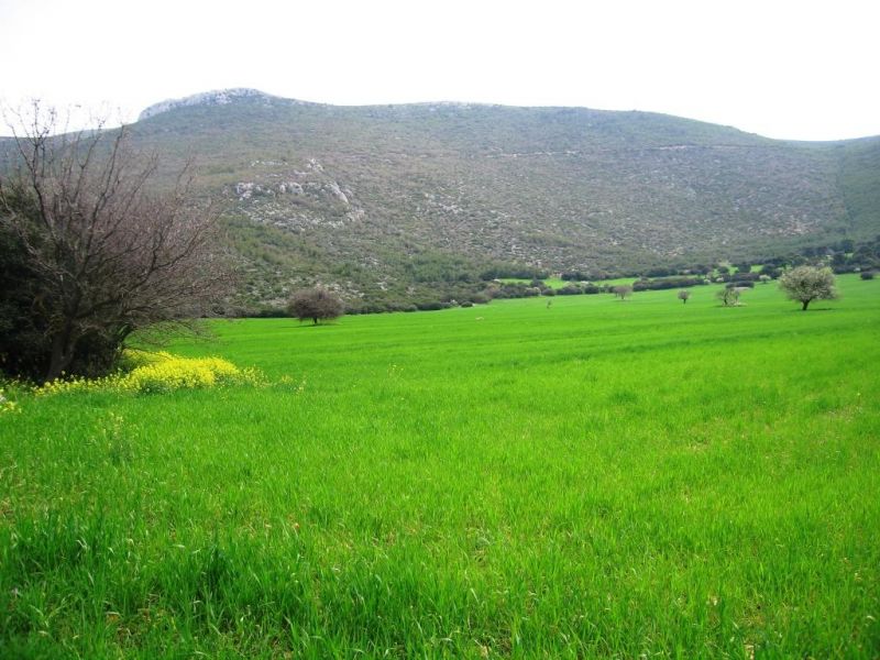 Εικόνα