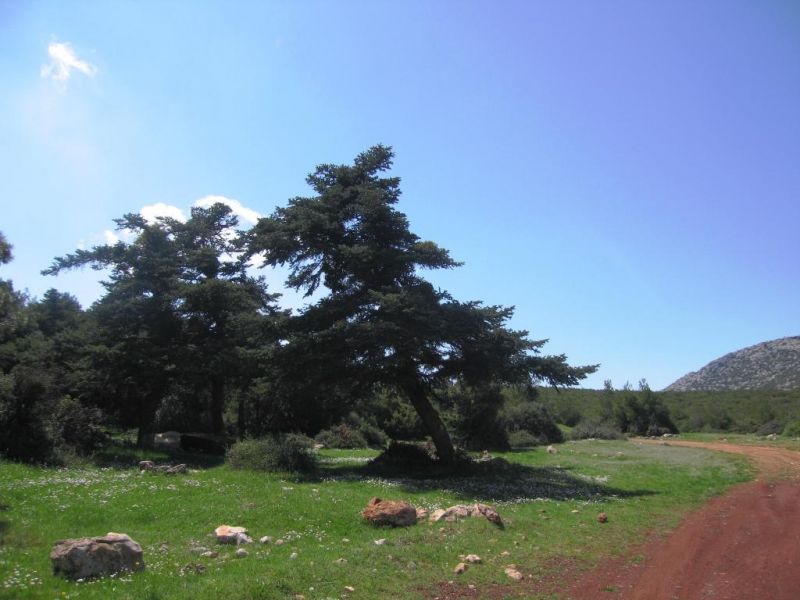 Εικόνα