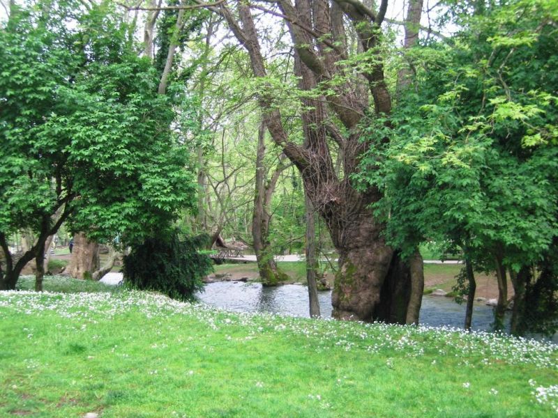 Εικόνα