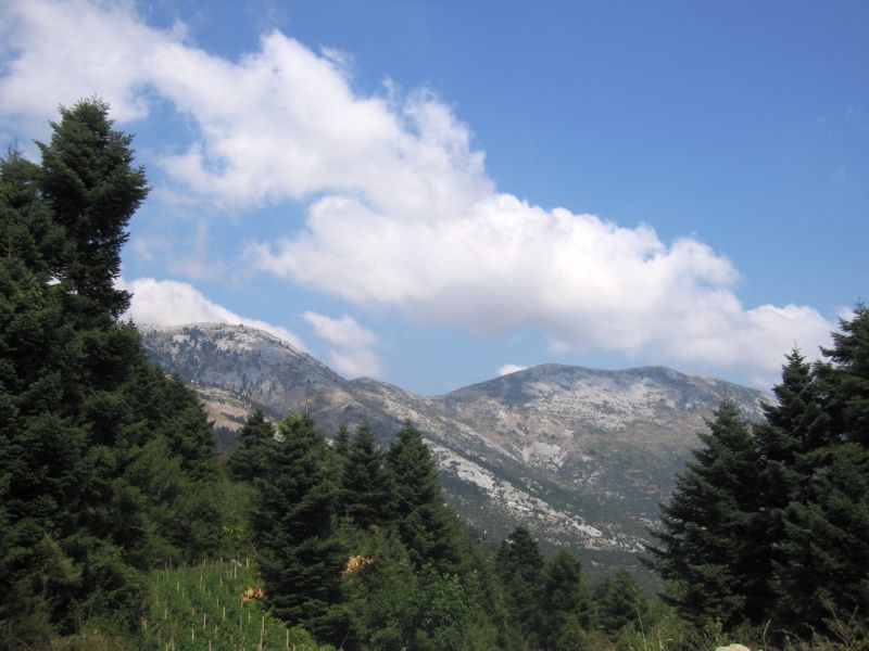 Εικόνα
