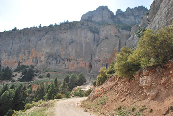 Εικόνα