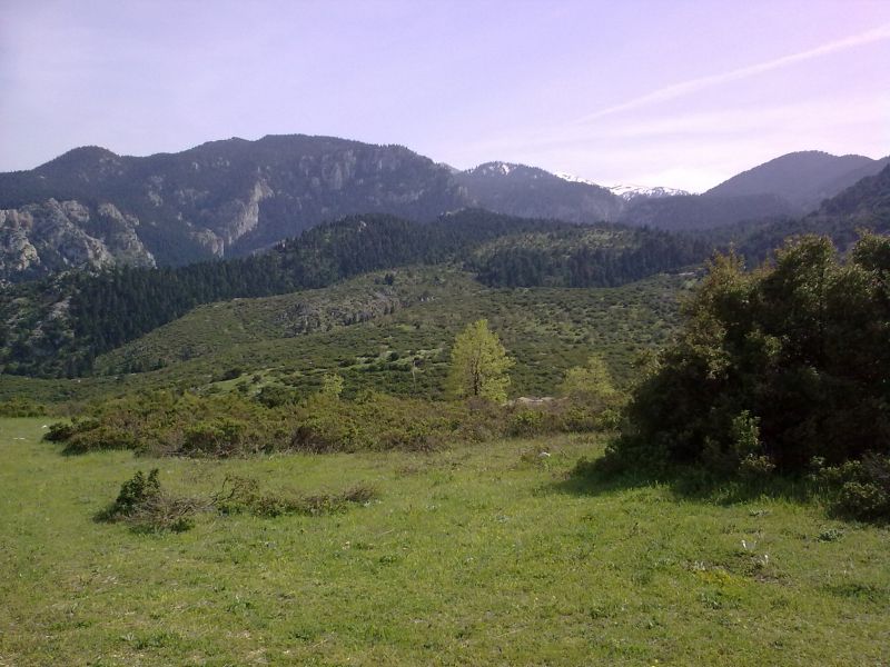Εικόνα