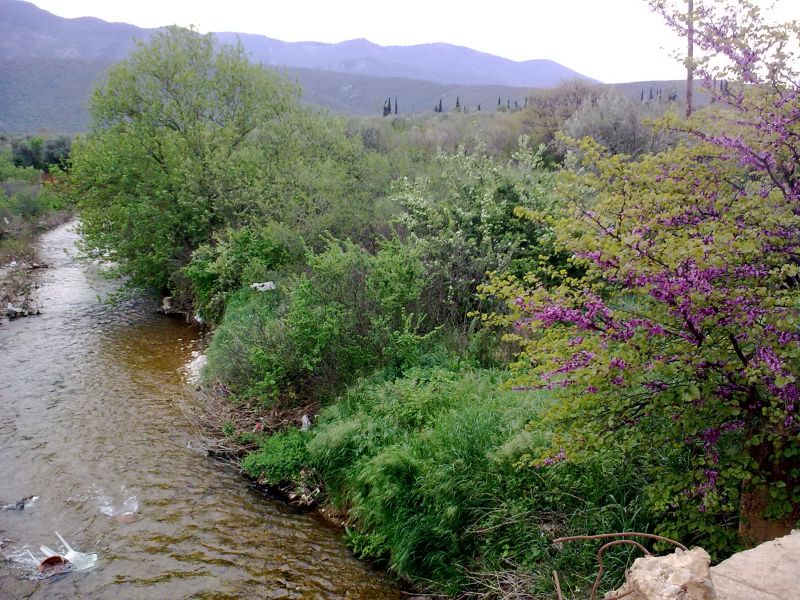Εικόνα