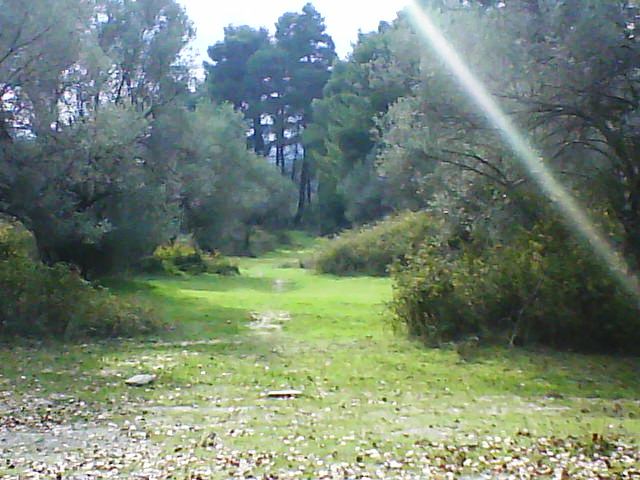 Εικόνα