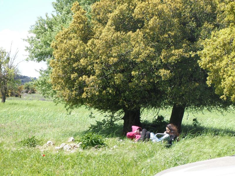 Εικόνα
