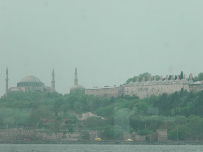 P4242190.jpg