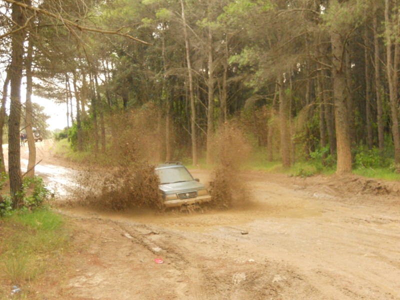 DSCN0240.jpg