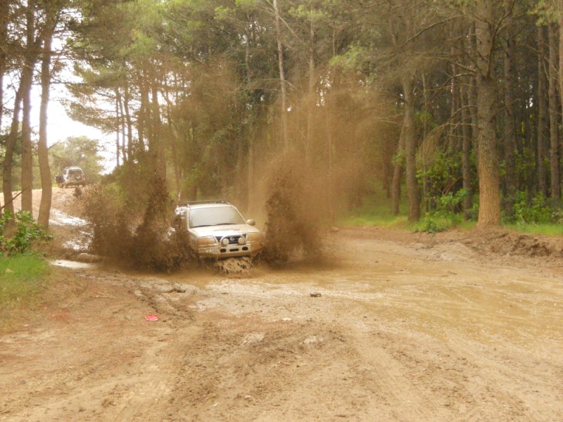 DSCN0242.jpg