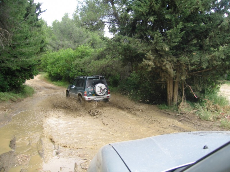 IMG_8623.jpg
