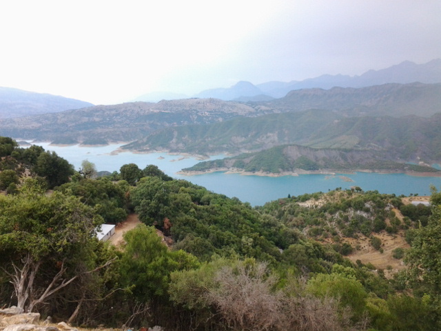 20140806_150206.jpg