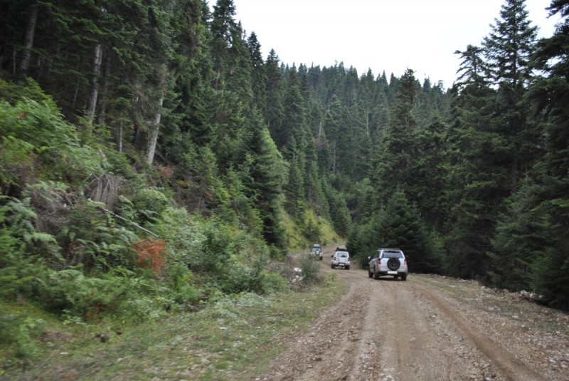 _DSC4765.jpg