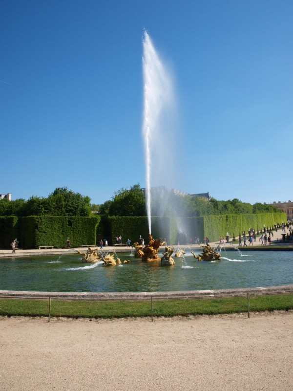 p5239564-qpr.jpg