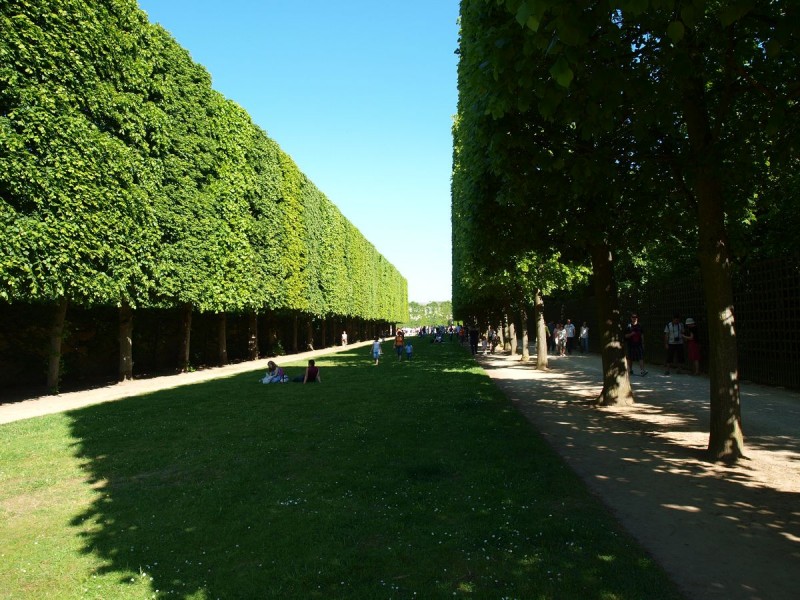 p5239570-qpr.jpg
