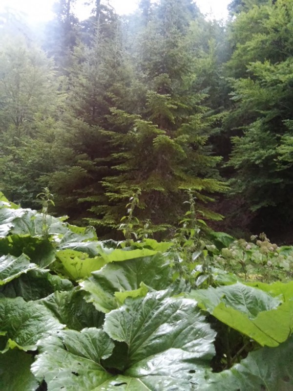 20140805_182933.jpg