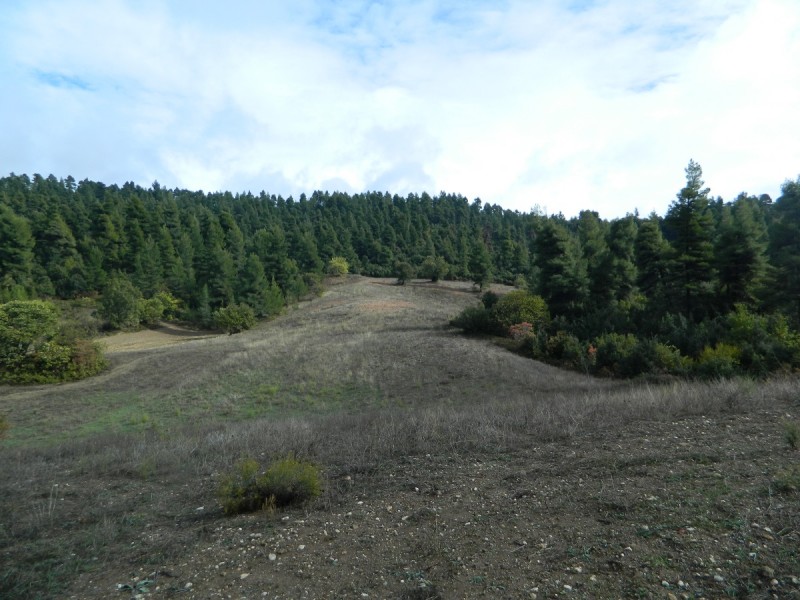 DSCN6861.JPG