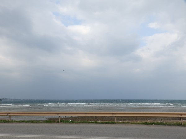 P1012965.jpg