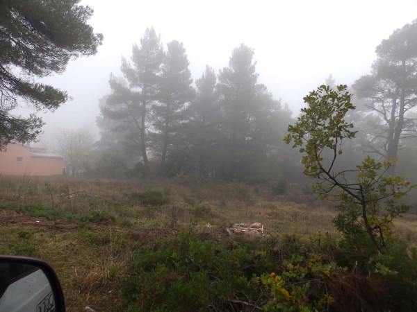 P1012975.jpg
