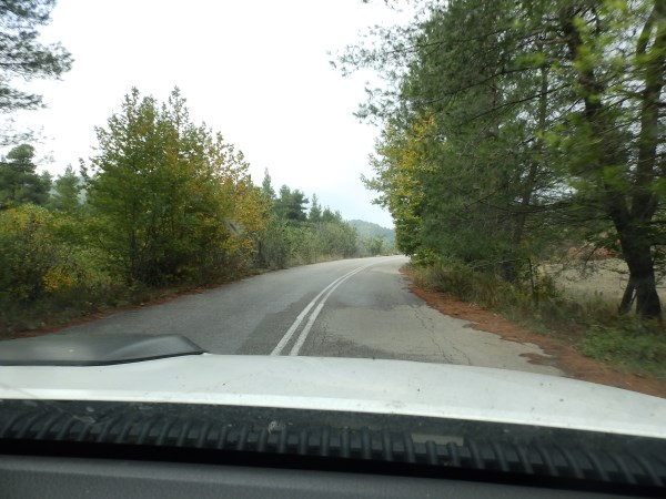 P1012976.jpg