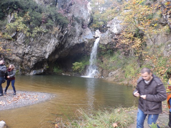 P1012991.jpg