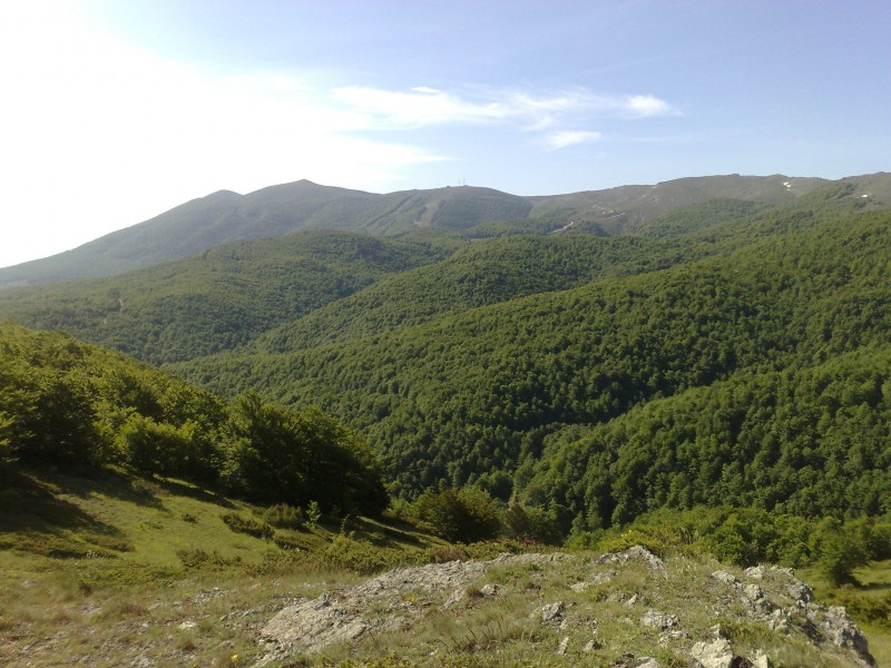 29052010376.jpg