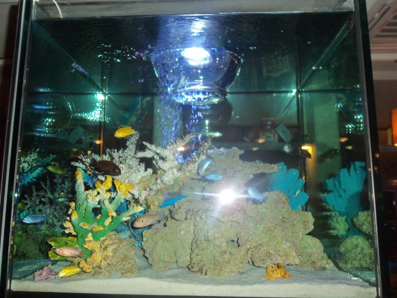 100_5043.jpg
