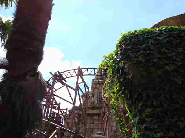 DSC00522-web.jpg