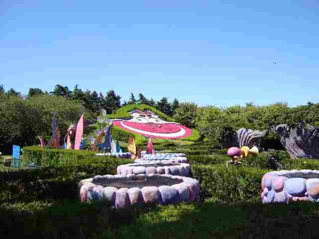DSC00541-web.jpg
