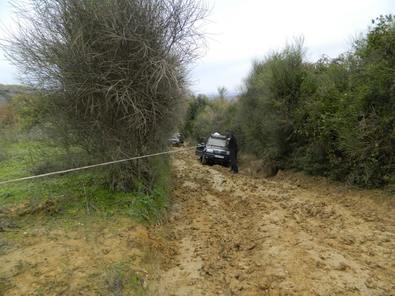 DSCN6938.jpg