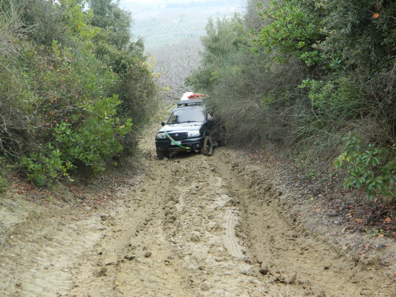 DSCN6967.jpg