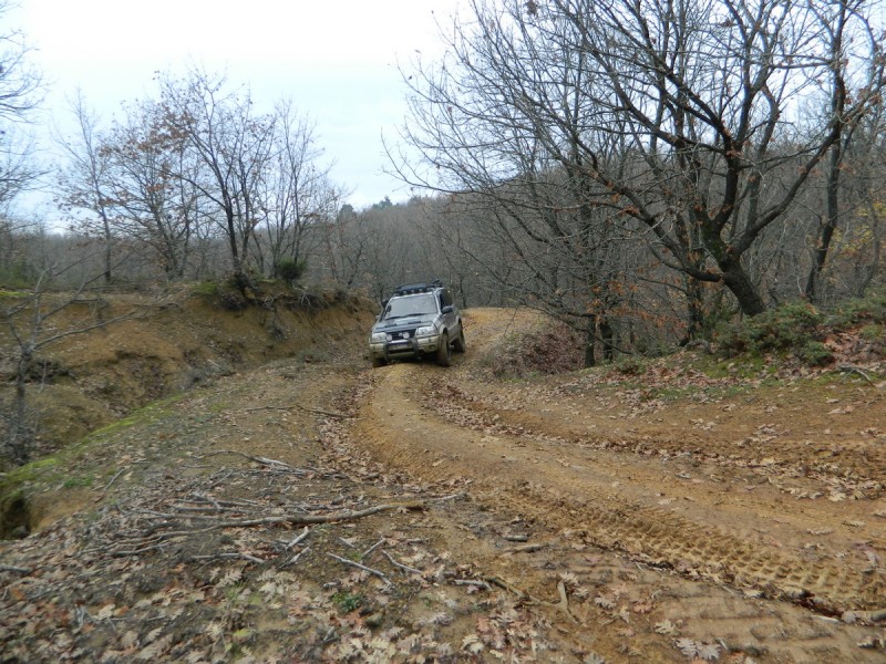 DSCN7038.jpg