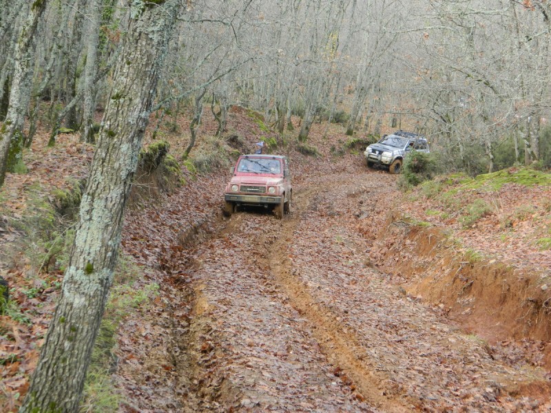 DSCN7059.jpg