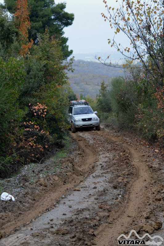DSC_2926 Vitaraclub.gr_B.Ευβοια_29.11.2014.JPG