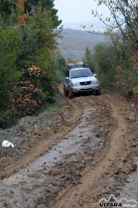 DSC_2927 Vitaraclub.gr_B.Ευβοια_29.11.2014.JPG