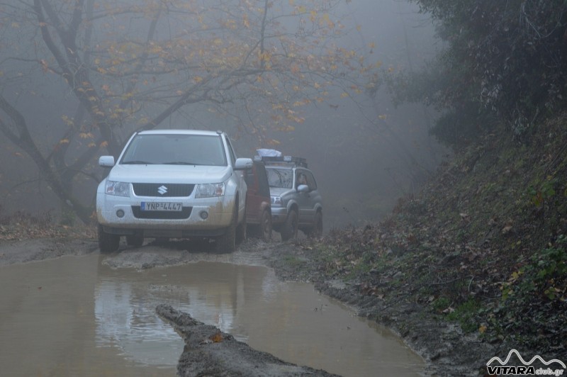 DSC_3015 Vitaraclub.gr_B.Ευβοια_29.11.2014.JPG